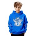 thumbnail image 1 of Fiaer Kids Highland Cow Hoodie Cowboys Shirt Funny Graphic Sweatshirt Cute Tops,Size 2-14 Years Blue 100, 1 of 8