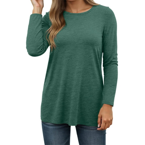 Fiaer.Womens Going out Long Sleeve Tops.Crew Neck Plus Size Loose Fit Tshirts for Women.Women's Casual Trendy Basic T Shirts GN1 XL