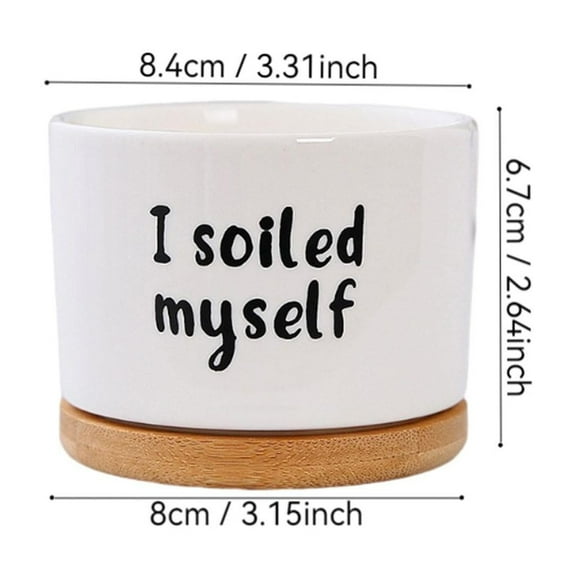 Fiaya Women Funny Succulent Pots, 1Pc Mini Cute Succulent Planter Pots, Small Ceramic Cactus Pot with Drainage and Tray for Home Office Windowsill Decor, 3.14×2.64×3.31inch (E)