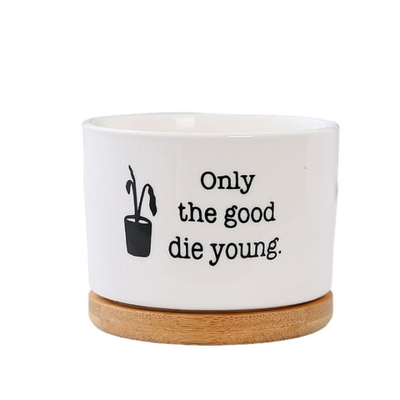 Fiaya Women Funny Succulent Pots, 1Pc Mini Cute Succulent Planter Pots, Small Ceramic Cactus Pot with Drainage and Tray for Home Office Windowsill Decor, 3.14×2.64×3.31inch (F)