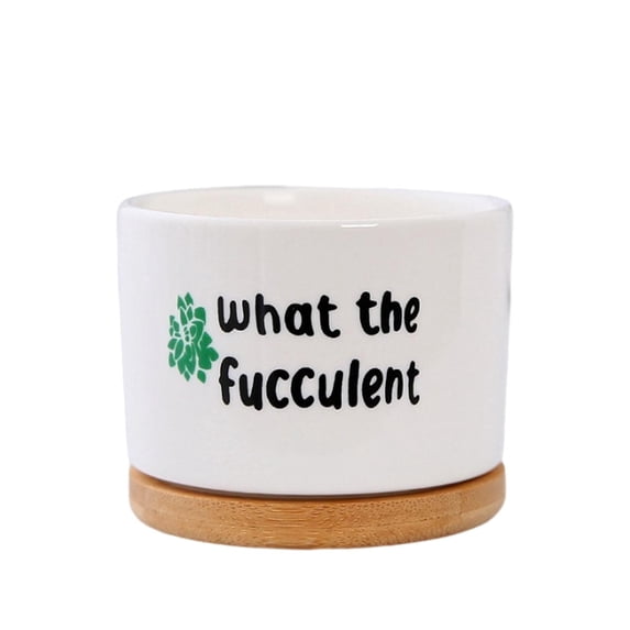 Fiaya Women Funny Succulent Pots, 1Pc Mini Cute Succulent Planter Pots, Small Ceramic Cactus Pot with Drainage and Tray for Home Office Windowsill Decor, 3.14×2.64×3.31inch (B)