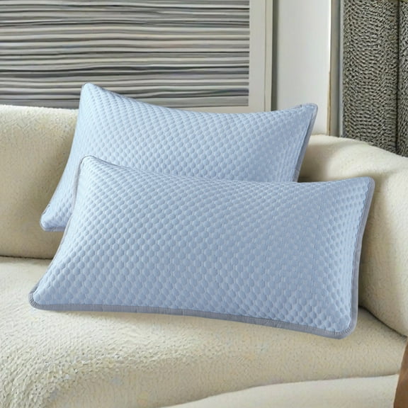 2PCS Summer Cold Feeling Pillowcase, 29.1 x 18.9" Sweat Absorption Oil Proof Friendly, Breathable Cool Soft, Washable Hidden Zipper Pillow Cases(Blue)