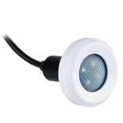 Fiberstars FLED-C-TR Treo LED Color-Changing Underwater Light 12V with 80ft Cord