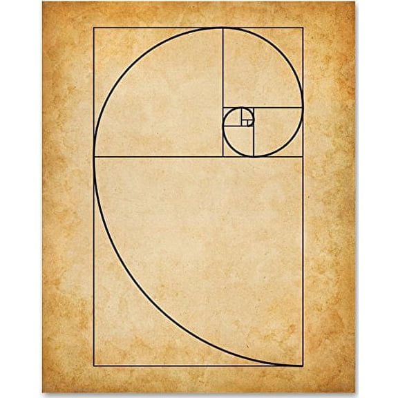 Fibonacci Spiral - 11x14 Unframed Art Print - Great Gift for Artists