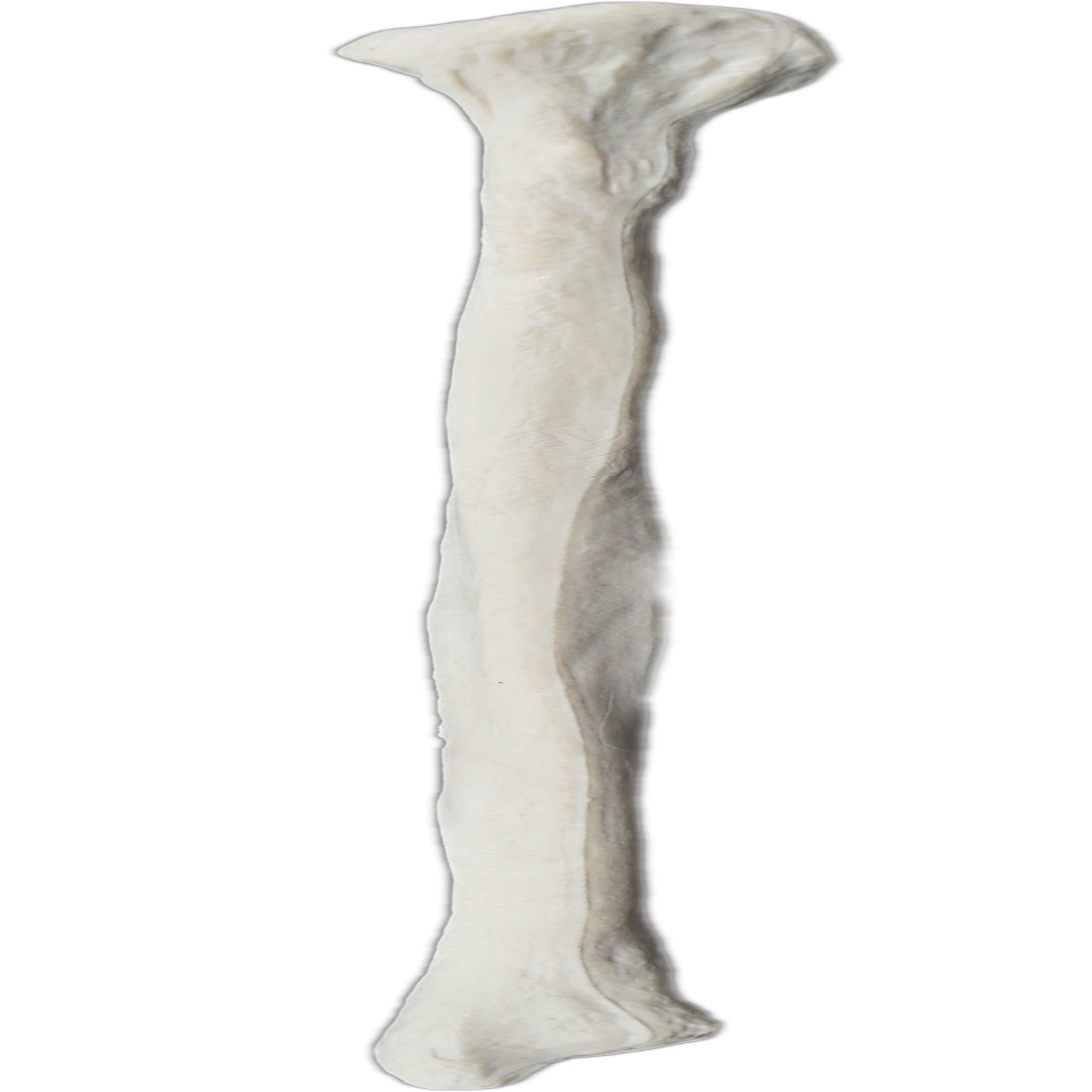 Fibula Bone Model - Left - Anatomically Accurate Human Fibula Bone ...