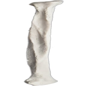 Fibula Bone Model - Right - Anatomically Accurate Human Fibula Bone Replica - Eisco