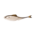thumbnail image 1 of 6th Sense Fiction Shad 2.2 in Soft Plastic Swimbait Realistic Baitfish Profile Bass Fishing Lure, 1 of 4