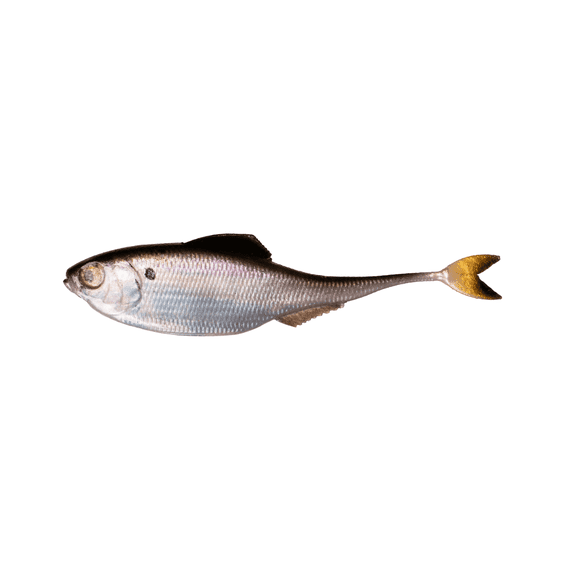 6th Sense Fiction Shad 3.4 in Soft Plastic Swimbait Realistic Baitfish Profile Bass Fishing Lure