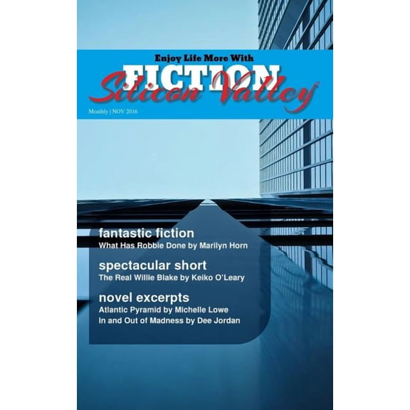 FICTION Silicon Valley: Monthly NOV 2016 Paperback 1619781433 9781619781436 Steve DeWinter