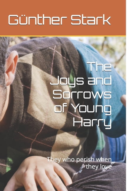 Fictive Biography of Heinrich Heine: The Joys and Sorrows of Young Harry : They who perish when they love (Series #2) (Paperback)