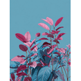 thumbnail image 1 of Ficus Elastica Leaves Canvas Wall Art Print, Living Room Bedroom Entryway Home Office Decor, 1 of 8