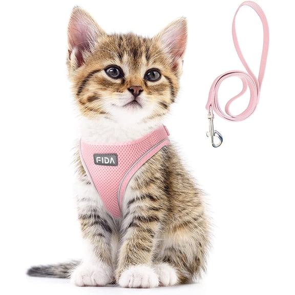 Fida Comfy Dog Harness with Leash, Cat Vest Harness Escape Proof, Breathable Lightweight Soft Mesh, Adjustable Reflective Step-in Harness for Puppy Toy Breeds & Extra-Small Pet (XXS, Pink)