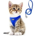 thumbnail image 1 of Fida Comfy Dog Harness with Leash, Soft Puppy Vest Escape Proof, Breathable Lightweight Soft Mesh, Adjustable Reflective Step-in Harness for Cat & Extra-Small Pet (XS, Blue), 1 of 7
