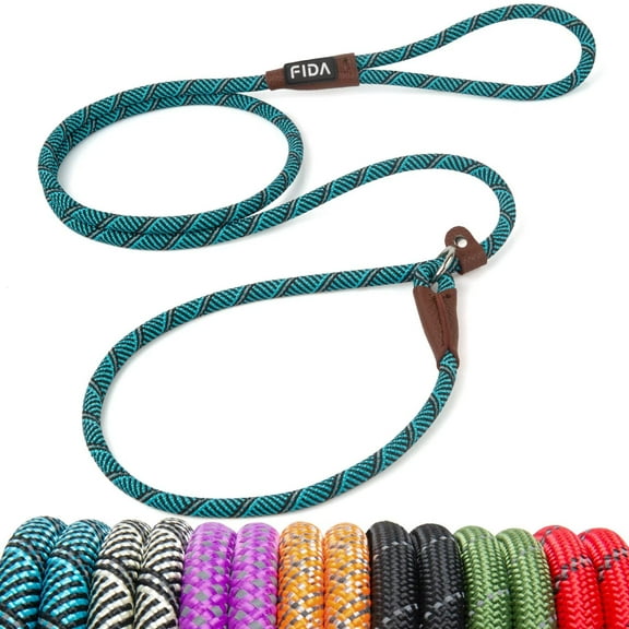 Fida Durable Slip Lead Dog Leash, 6 FT x 3/8" Heavy Duty Dog Loop Leash, Comfortable Strong Rope Slip Leash for Small Dogs and Puppies, No Pull Pet Training Leash with Highly Reflective(3/8", Blue)