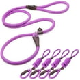 thumbnail image 1 of Fida Durable Slip Lead Dog Leash Bulk Pack of 5, Heavy Duty 1/2" x 6 FT Comfortable Strong Rope Slip Leash for Large, Medium Dogs No Pull Pet Training Leash with Highly Reflective, Purple, 1 of 8