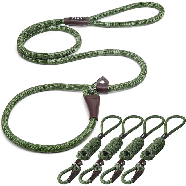 Fida Durable Slip Lead Dog Leash Bulk Pack of 5, Heavy Duty 1/2" x 6 FT Comfortable Strong Rope Slip Leash for Large, Medium & Small Dogs No Pulling Pet Training Leash with Highly Reflective (Green)