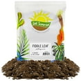 thumbnail image 1 of Fiddle Leaf Fig Potting Mix (4 Quarts), soil Additive for Potted Fig Trees, 1 of 8