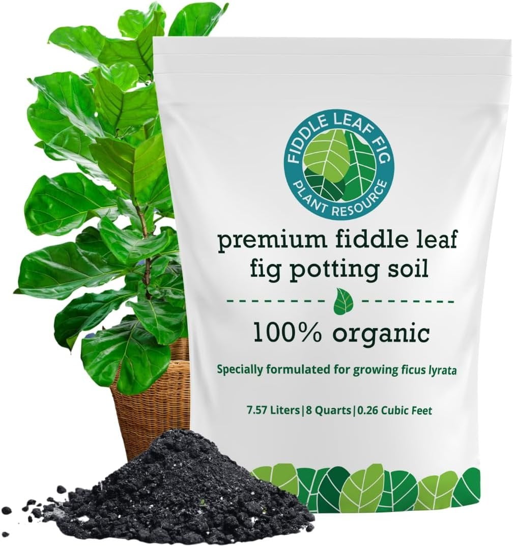 Fiddle Leaf Fig Potting Soil Mix by Fiddle Leaf Fig Plant Resource Premium  Organic Soil with Enhanced Drainage for Fast Growth and Healthy Roots Large  ...
