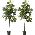 thumbnail image 1 of Fiddle Leaf Fig Tree (2Pack) - Artificial Trees for Home Decor Indoor, Faux Fiddle Leaf Fig Tree, Large Artificial Plants Indoor, Fake Tree Indoor, Fiddle Leaf Fig Tree Artificial Tree - 5 feet, 1 of 6
