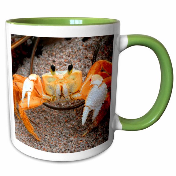 3drose, Fiddler Crab on Beach Colorized Orange Copy, 15oz Two-tone Green Mug