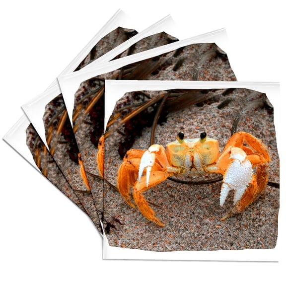 Fiddler Crab On Beach Colorized Orange, set of 4 Ceramic Tile Coasters