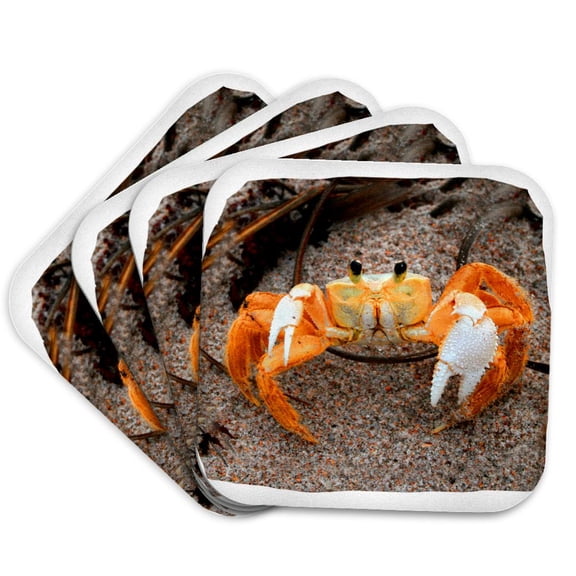 Fiddler Crab On Beach Colorized Orange, set of 4 Coasters - Soft