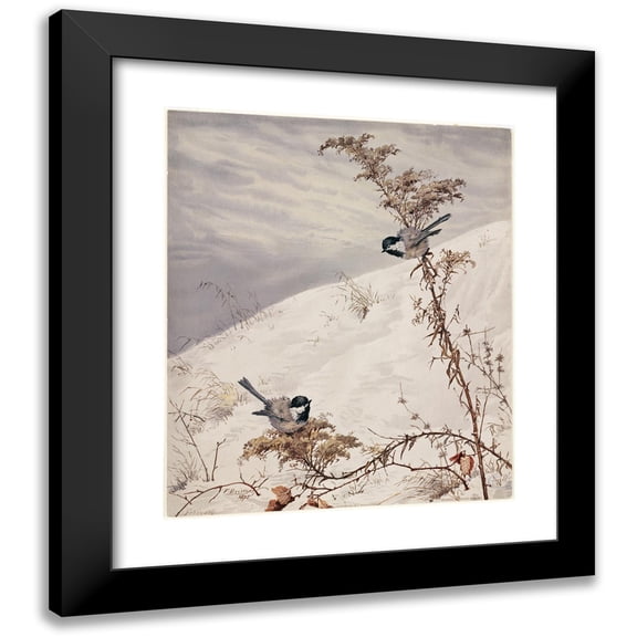 Fidelia Bridges 12x14 Black Modern Framed Museum Art Print Titled - August (1875)