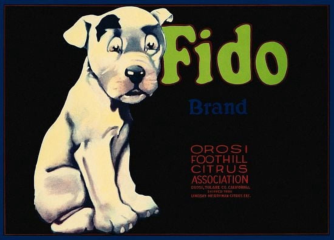 Fido Brand Citrus Label Canvas Art - (18 x 24)