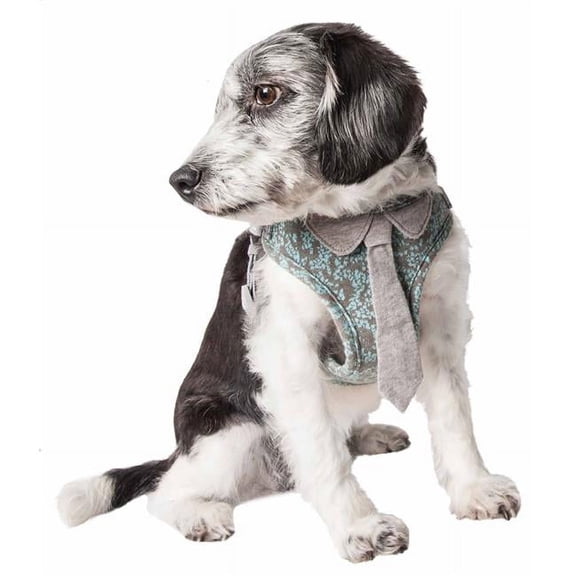 Fidomite Mesh Reversible & Breathable Adjustable Dog Harness with Designer Neck Tie, Blue & Grey - Extra Small