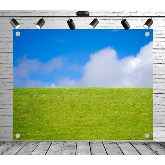Field Backdrop | Lawn Blue Sky Polyester Fabric Banners Decorative Curtains for Wedding Photoshoot Birthday Theme Party Photography Background Studio Props Room Decoration