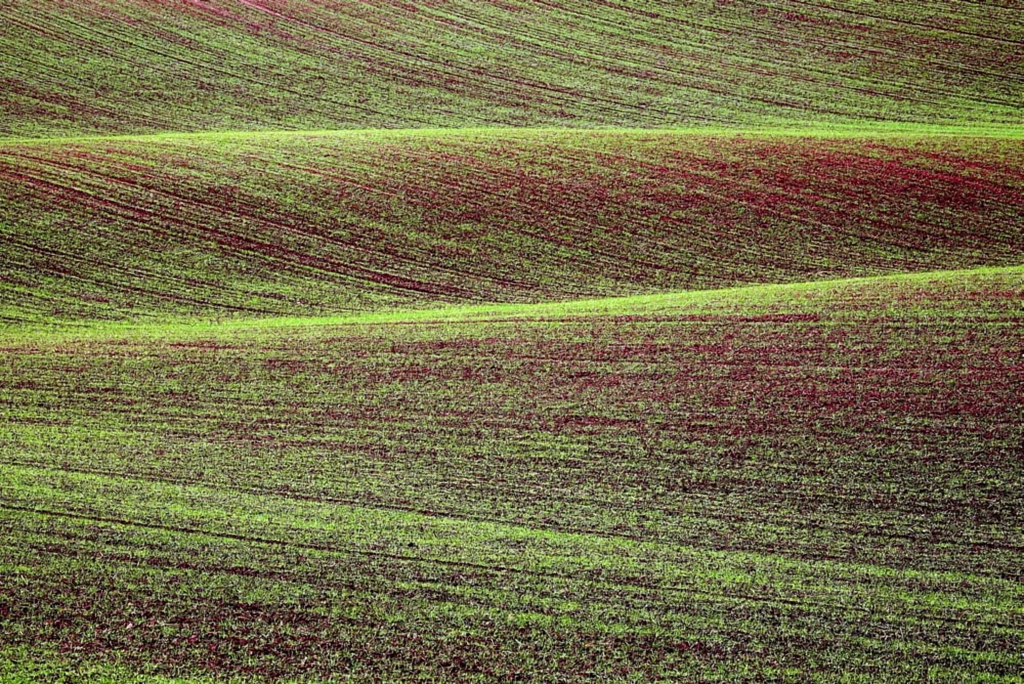Field Canvas Art - Chris Upton Design Pics (17 x 11)