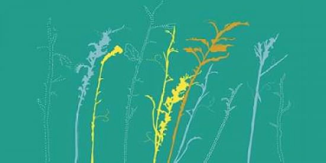 Field Canvas Art - Longfellow Designs (24 x 48)