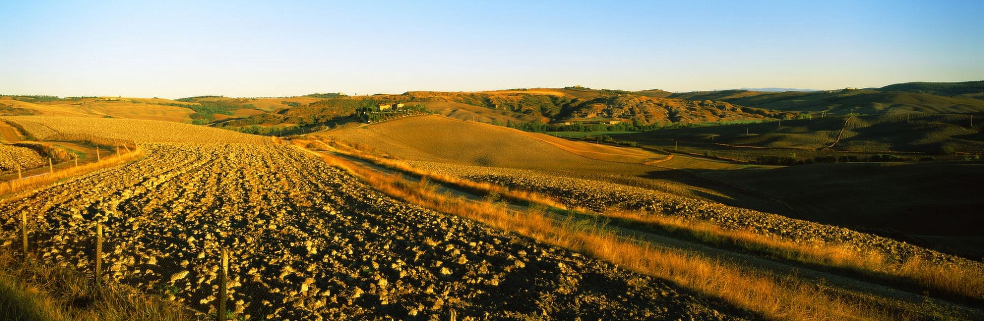 Field Crete Senesi Tuscany Italy Canvas Art - Panoramic Images (27 x 9)