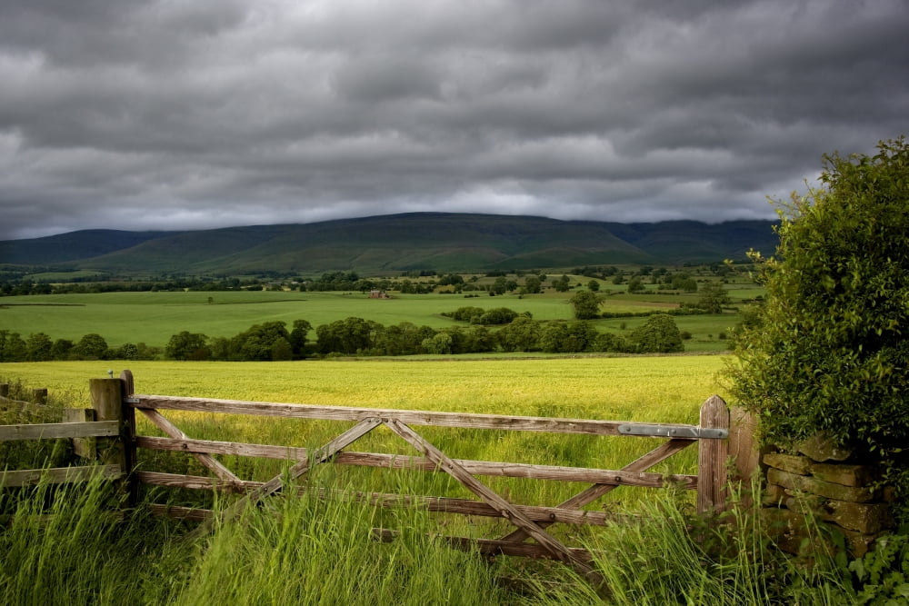 Field Cumbria England Canvas Art - John Short Design Pics (17 x 11)