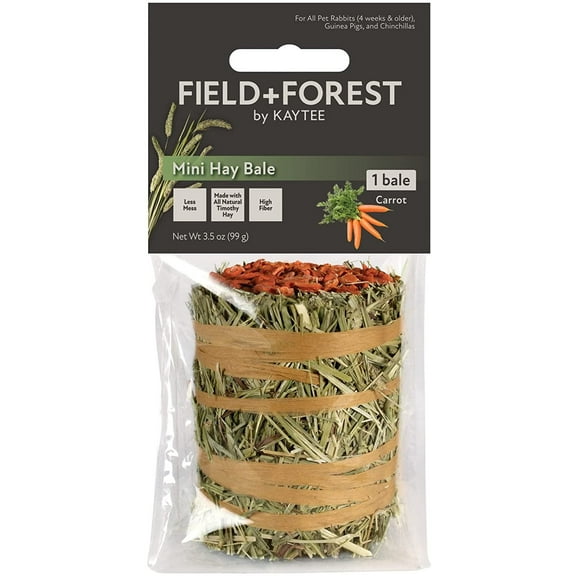 Field+Forest by Kaytee Mini Hay Bale Carrot 3.5 oz
