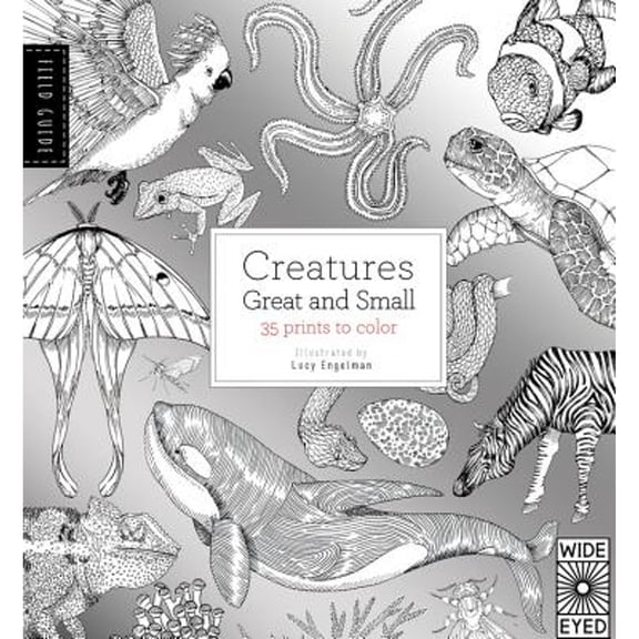Pre-Owned Field Guide: Creatures Great and Small: 35 Prints to Color (Paperback) 184780697X 9781847806970