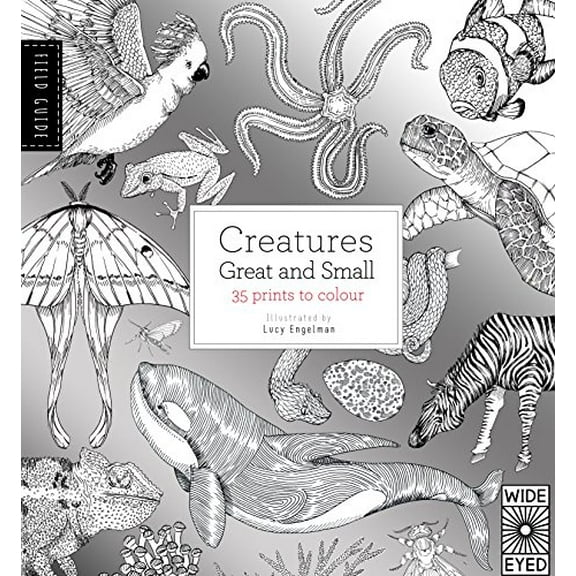 Pre-Owned Field Guide: Creatures Great and Small (Paperback) 184780635X 9781847806352
