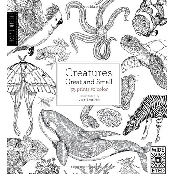 Pre-Owned Field Guide: Creatures Great and Small Paperback