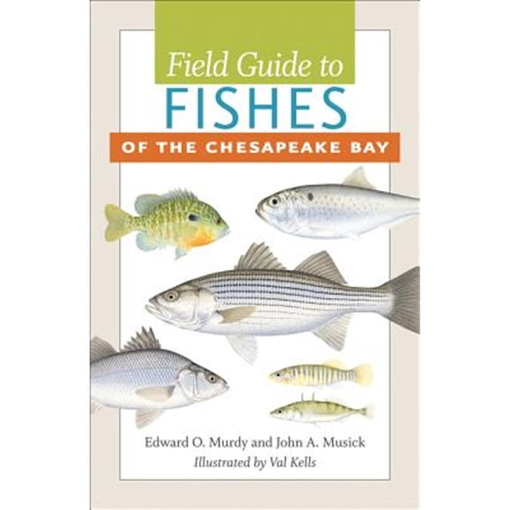 Pre-Owned Field Guide to Fishes of the Chesapeake Bay (Paperback) 142140768X 9781421407685