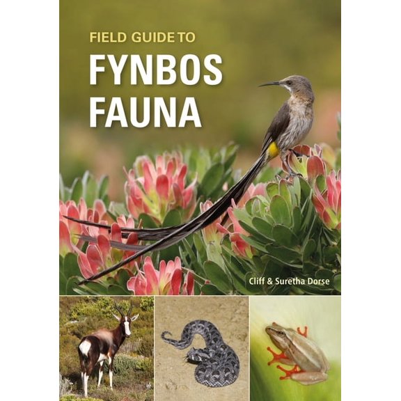 Field Guide to Fynbos Fauna (Paperback)