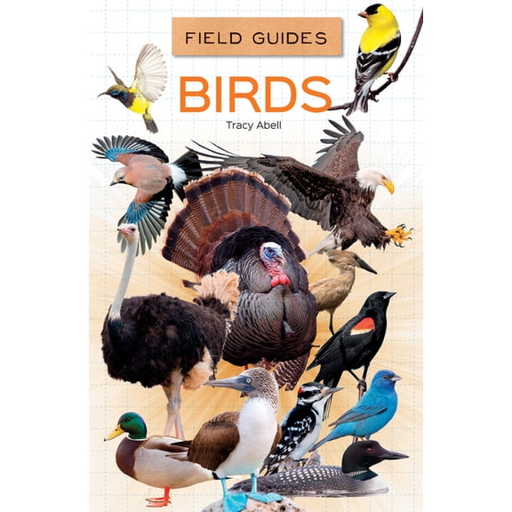 Field Guides Set 1 Birds, (Hardcover)