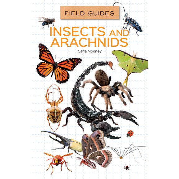 Field Guides Set 2 Insects and Arachnids, (Hardcover)