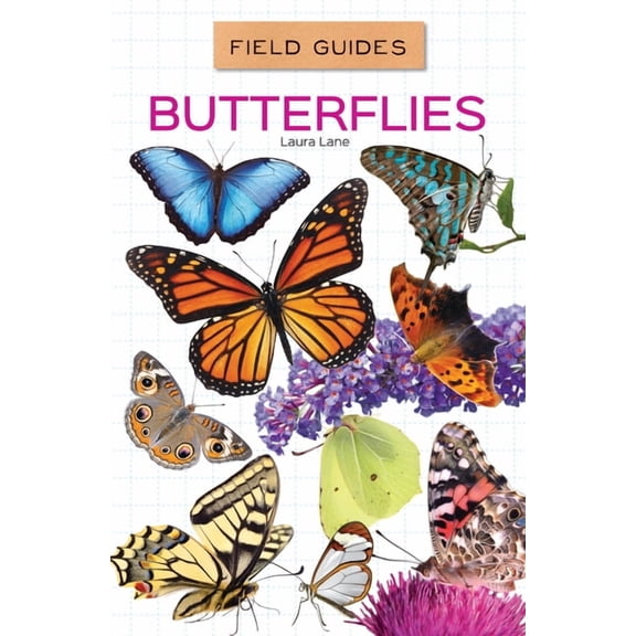 Field Guides Set 3 Butterflies, (Hardcover)
