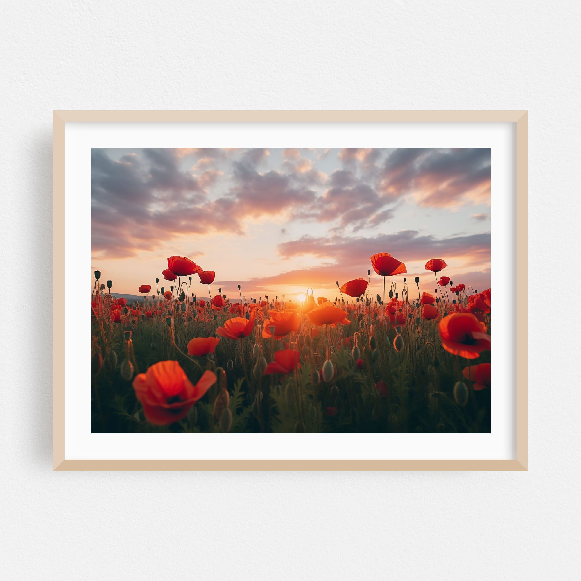 A Field of Memories Poppy Sunset Photorealistic Digital Art - Digital ...
