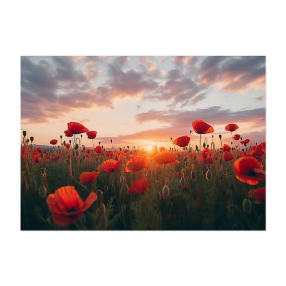 A Field of Memories Poppy Sunset Photorealistic Digital Art - Digital Art Sunset Flowers Nature Landscape Floral Scenic Summer Unframed Wall Art Print 40 x 60 inches