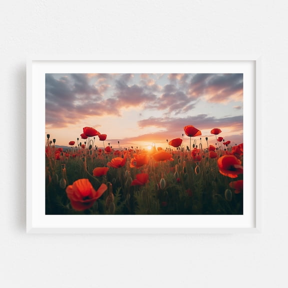 A Field of Memories Poppy Sunset Photorealistic Digital Art - Digital Art Sunset Flowers Nature Landscape Floral Scenic Summer White Framed Wall Art Print 5 x 7 inches