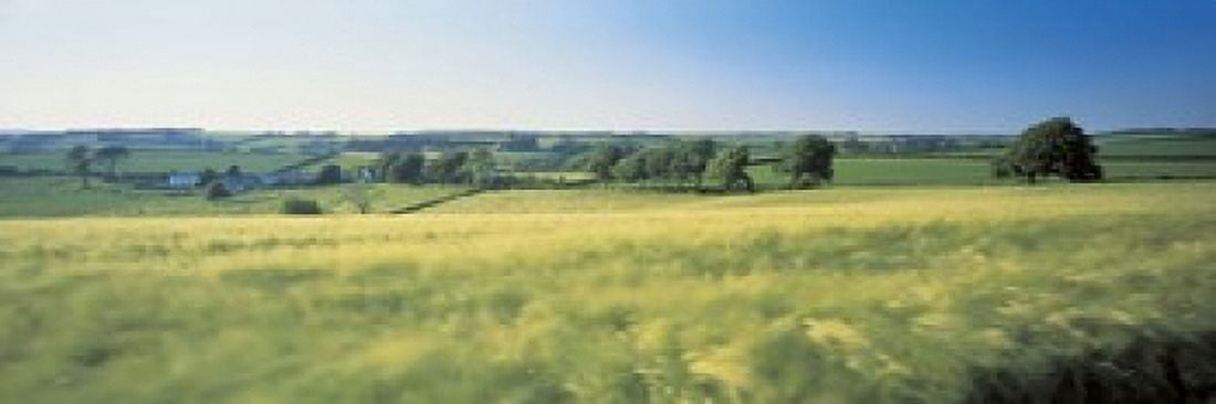 Field Near Barnstaple North Devon England United Kingdom Canvas Art - Panoramic Images (18 x 6)