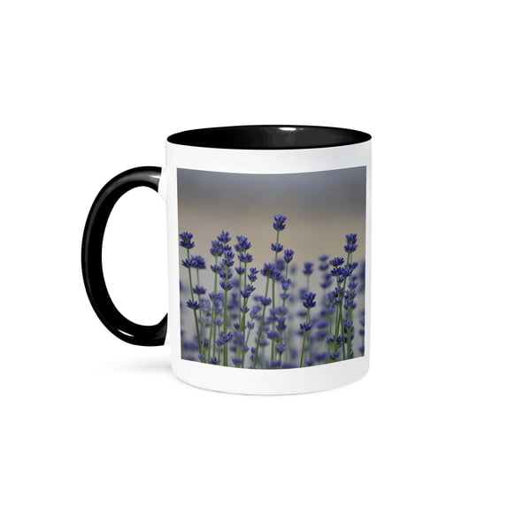 3dRose, Field of Lavender Flowers - Spring - Floral Print, 11oz Two-Tone Black Mug