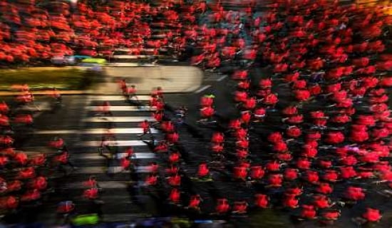 Field Of Men-Roses Canvas Art - Shahar Wider (24 x 36)