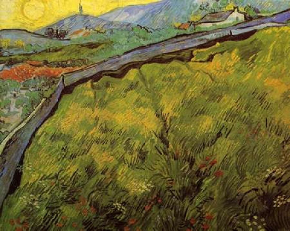 Field Of Spring Wheat At Sunrise Canvas Art - Vincent Van Gogh (22 x 28)